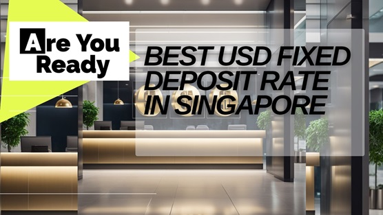 Guide to Best USD Fixed Deposit Rates in Singapore 2024: Secure Your Savings with Top Offers
