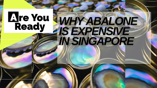 Why Abalone Is So Expensive in Singapore